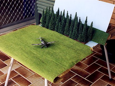 ...and the reality.  A small folding table with cardboard, railway grass and a clump of plastic trees!