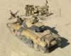 El Alamein Diorama by Patrice Wandrol: Image