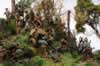 Toward Owen's Corner and Imita Ridge Diorama by Barry Smith: Image