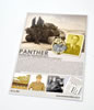 Bookworld Publishing. Panther  Panther and Jagdpanther Units Pt 2 Book Review by Al Bowie: Image