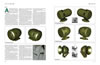 Son of Sherman Second Edition PREVIEW: Image